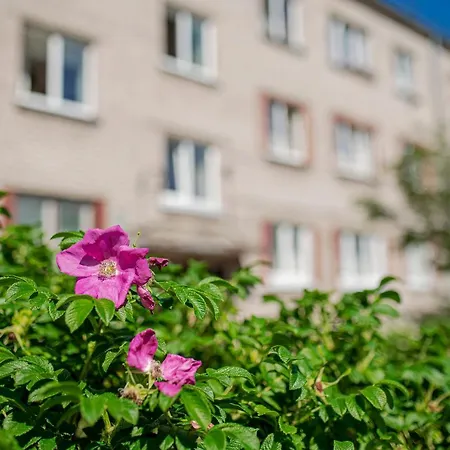 Apartment Meadow Liepaja
